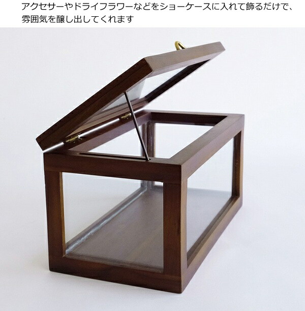 楽天市場】【特典付】 ウッドフレーム ショーケース スモール Horn