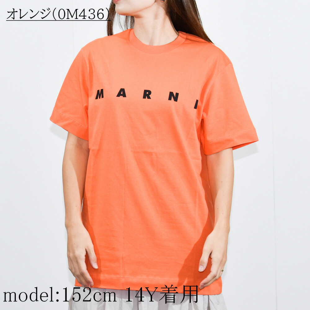 楽天市場】マルニ Tシャツ レディース ロゴ 半袖 ブランド 親子リンク