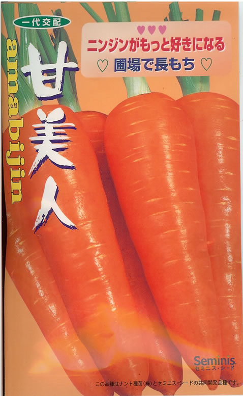 楽天市場】ニンジン種【 甘美人 】ナント種苗 コート種子250粒 : みつ