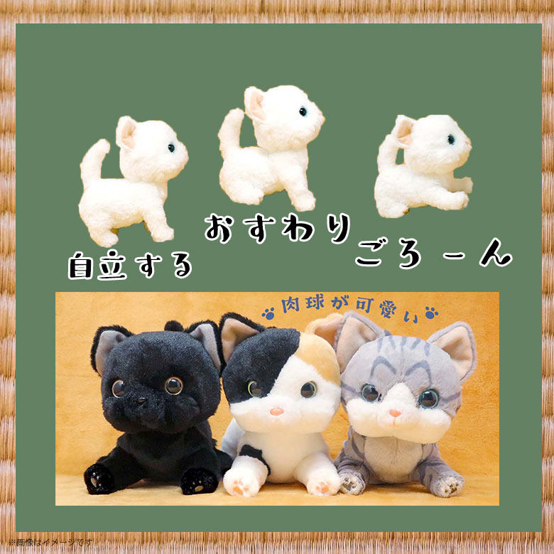 楽天市場】いっしょがいいね ぬいぐるみ【全6種】猫 シロ ミックス