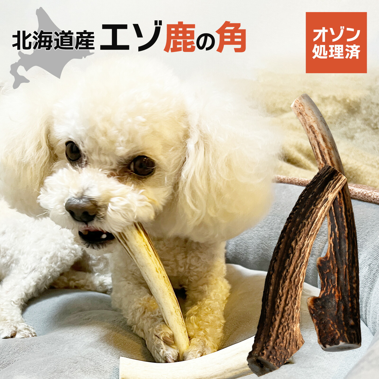 楽天市場】安心のオゾン処理加工◇犬のおもちゃ鹿の角 蝦夷鹿◇北海道