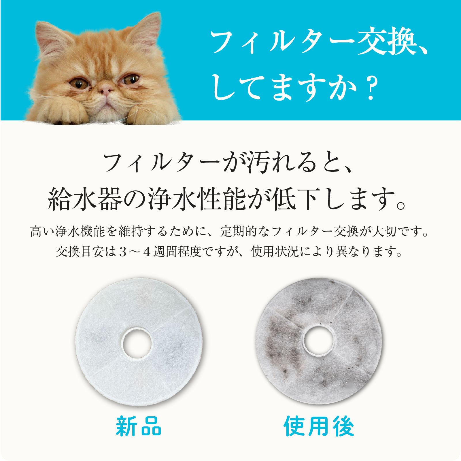 楽天市場】【楽天6冠達成】獣医師監修 ペット給水器 curious 正規品