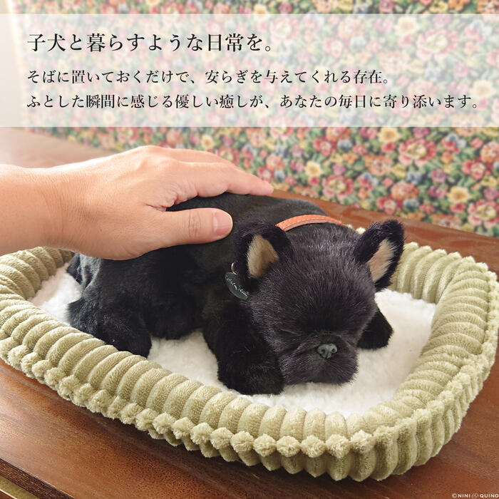 楽天市場】眠るように呼吸する パーフェクトペット (小サイズ