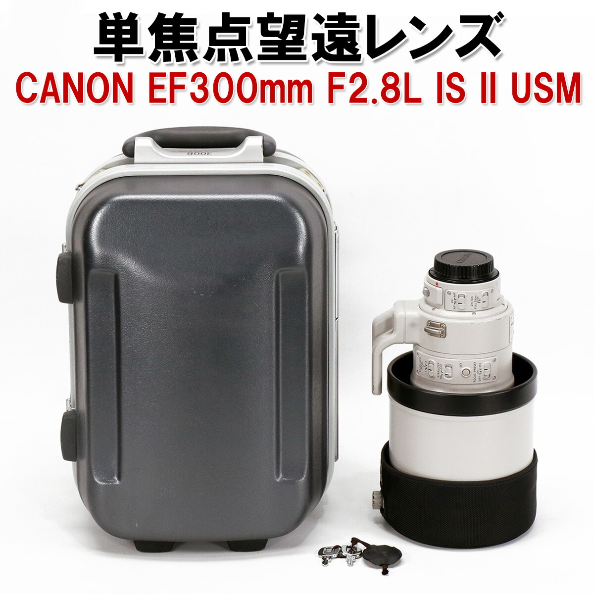楽天市場】【美品☆ 送料無料】 キャノン 単焦点望遠レンズ EF300mm F2