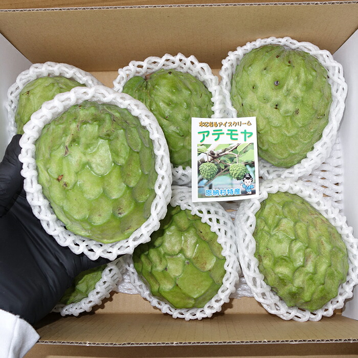 楽天市場】釈迦 頭（その他｜フルーツ・果物）：食品の通販