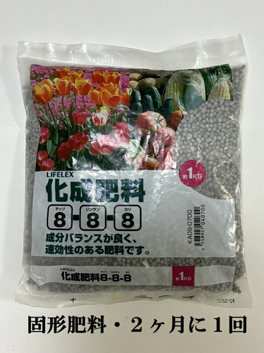 断捨離中 ココスヤシ カルフォルニアスタイル ヤシの木 送料込み価格