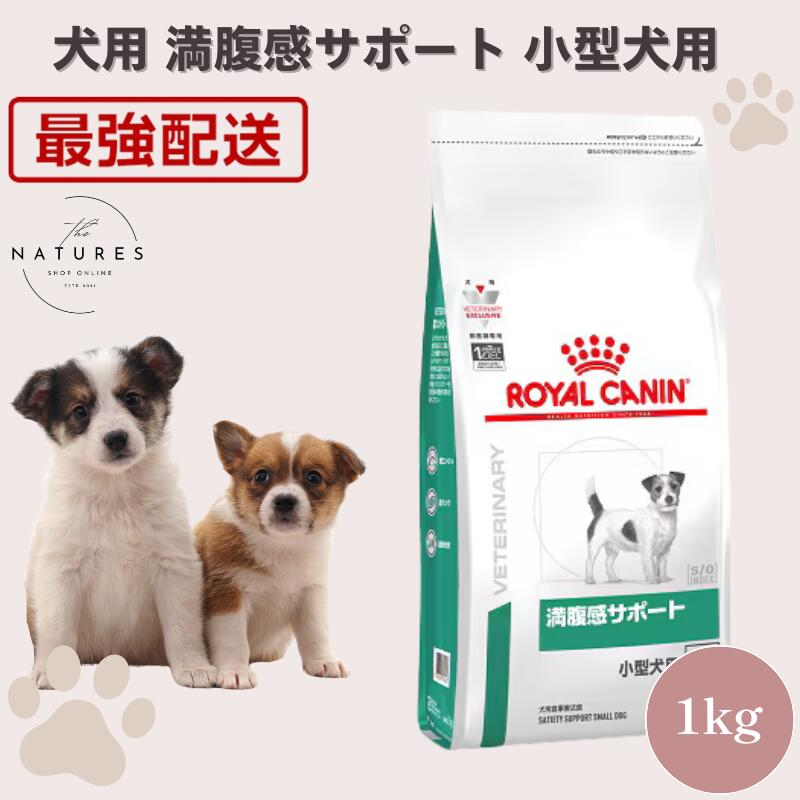 満腹感サポート小型犬」の人気商品一覧 | 安い商品を通販サイトから