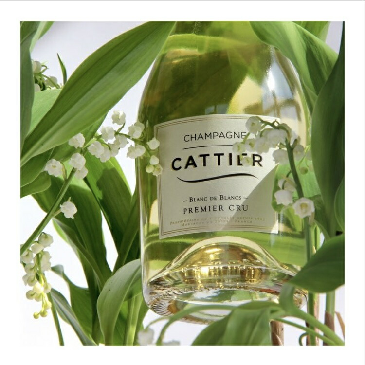 楽天市場】＜正規品＞Cattier キャティア ブランドブラン ブリュット