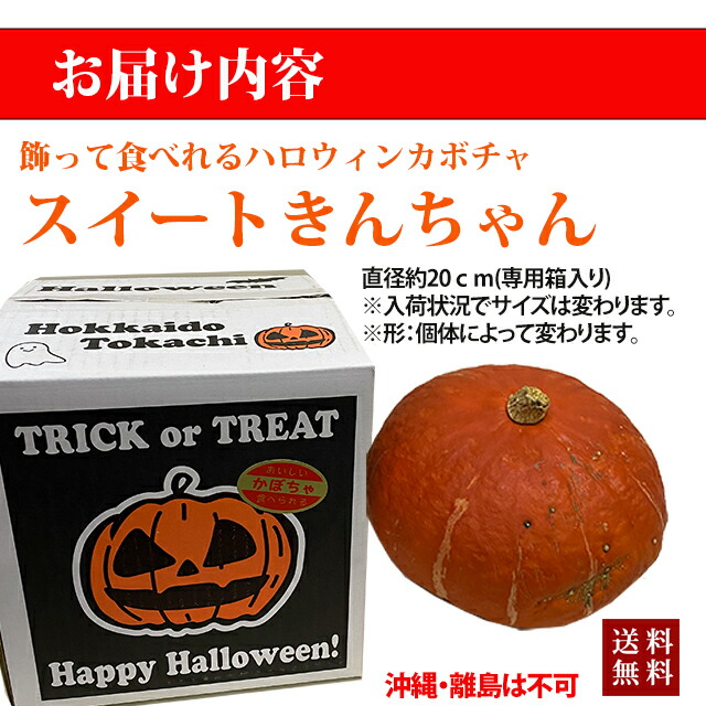 楽天市場】ハロウィン 食べれる かぼちゃ カボチャ 生かぼちゃ