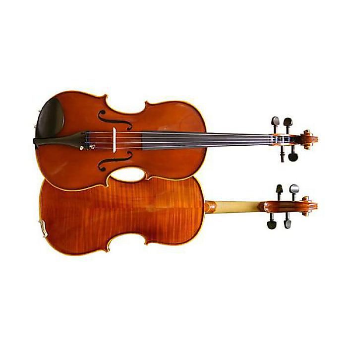 スズキ ビオラ」の人気商品一覧 | 安い商品を通販サイトから探す