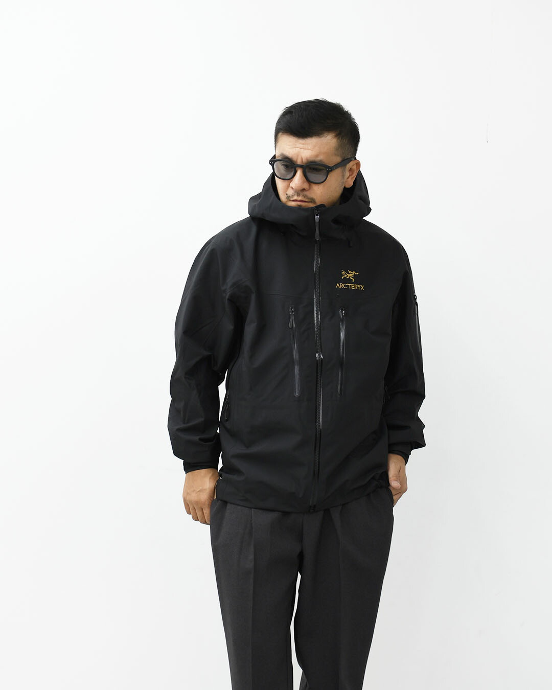 楽天市場】ARC'TERYX [アークテリクス正規代理店] M Alpha SV Jacket