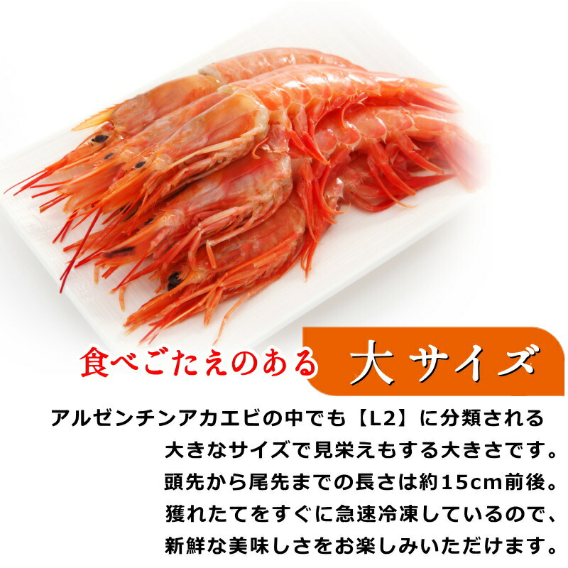 楽天市場】冷凍 赤エビ 刺身 アルゼンチン 赤えび 【L2】 2kg 約40-60