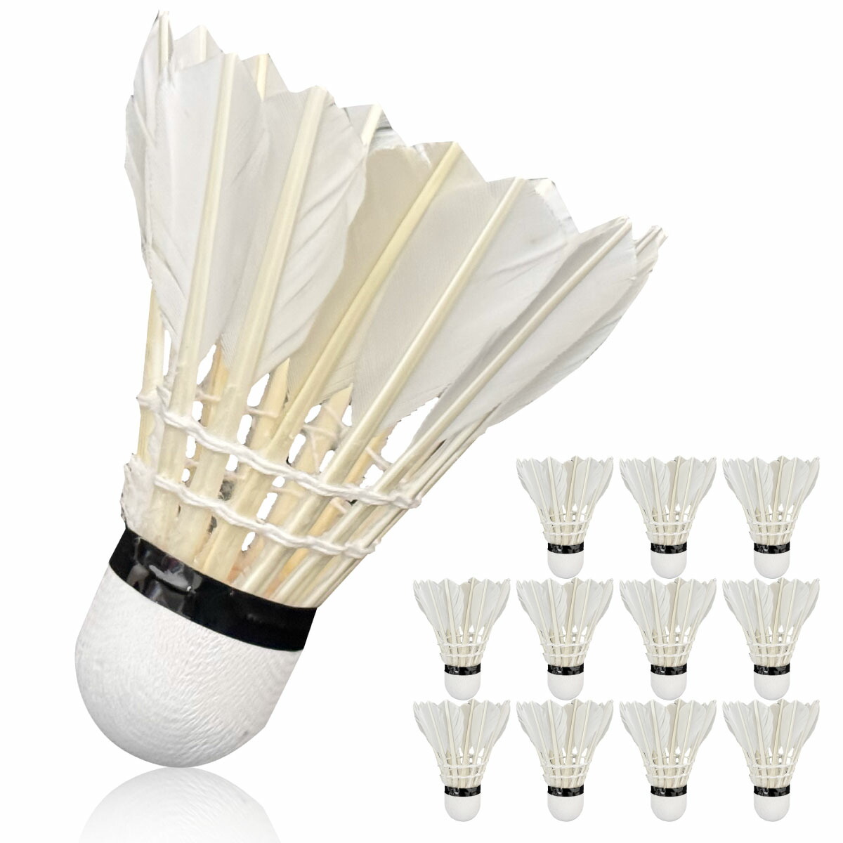 楽天市場】【置き配配送】【訳あり特価品質ムラあり】お得に試せる練習