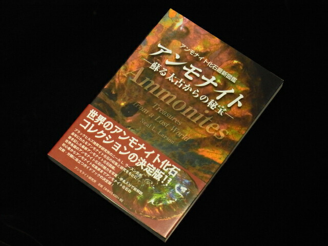 楽天市場】アンモナイト最新化石図鑑 アンモナイト 蘇る太古からの秘宝