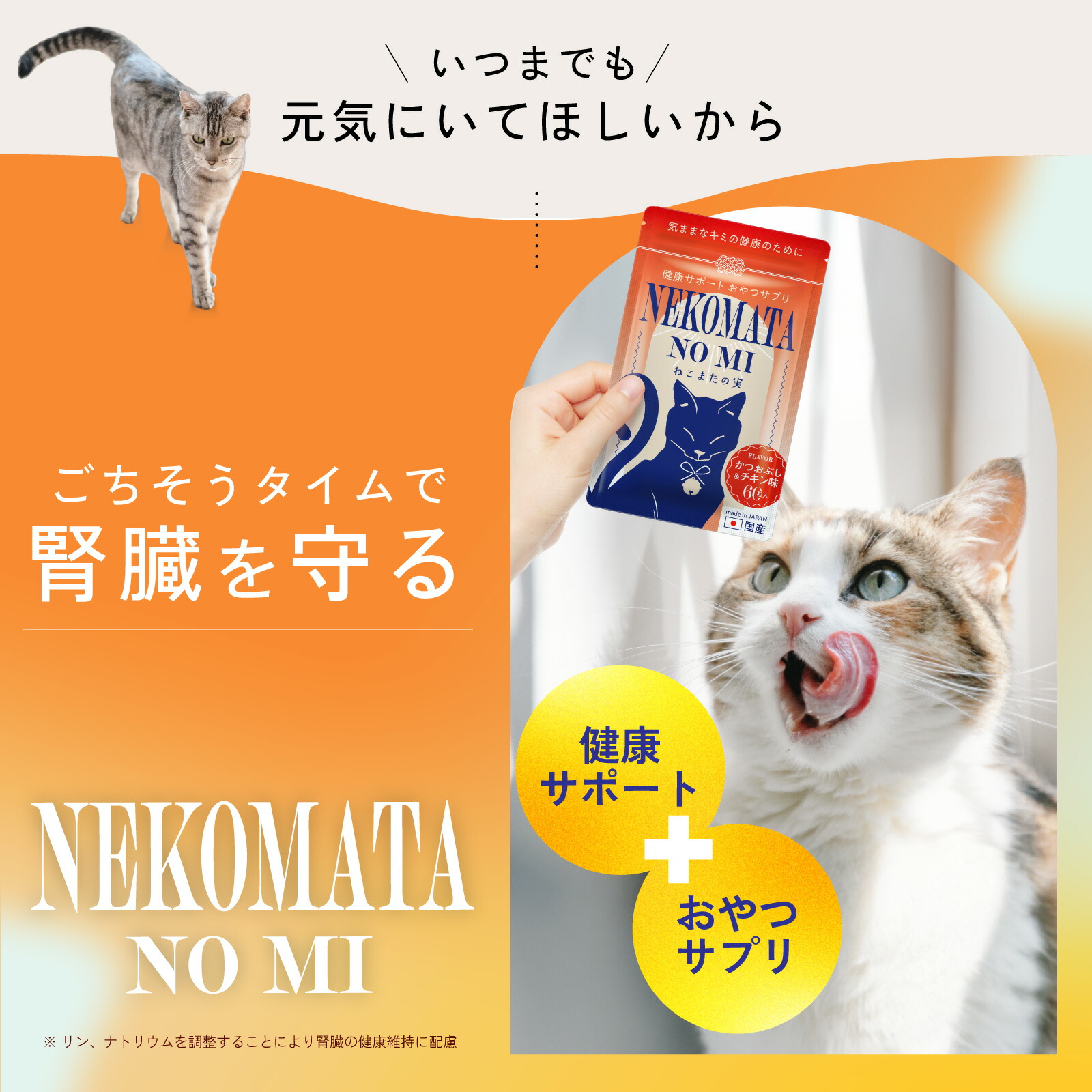 楽天市場】【公式】ねこまたの実 猫 腎臓 ケア サプリ サプリメント