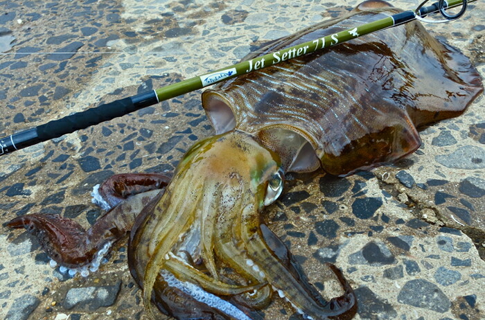 楽天市場】JetSlow × TULALA / ジェットスロウ × ツララ JetSetter 71S