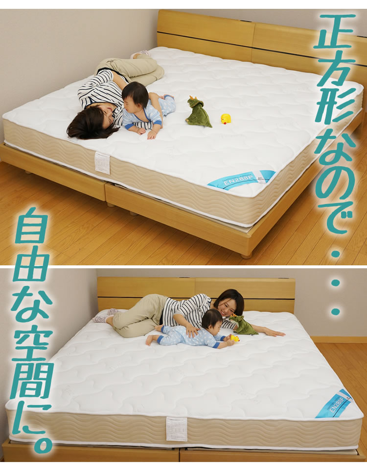 楽天市場】【5の倍数日最大P10倍】【SS期間限定10%オフ】大きな