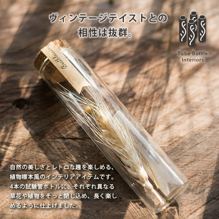 楽天市場】ハーバリウム プラント 【送料無料】 オブジェ 植物標本