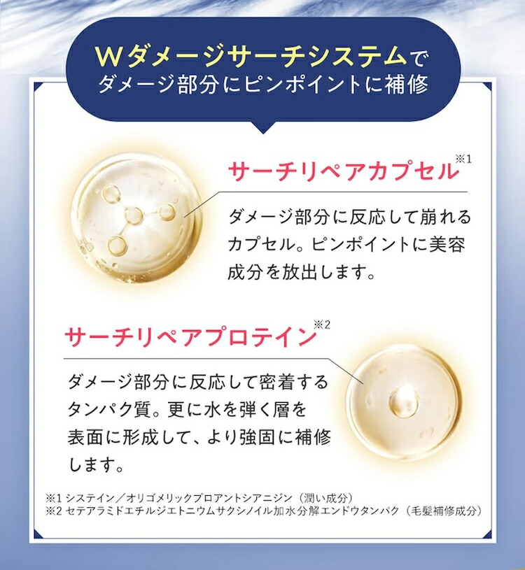 楽天市場】【スーパーSALE限定10%OFF & P5倍 & 送料無料