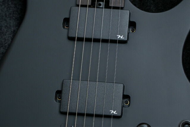 楽天市場】【new】HEX Guitars / N400 Black : Geek IN Box