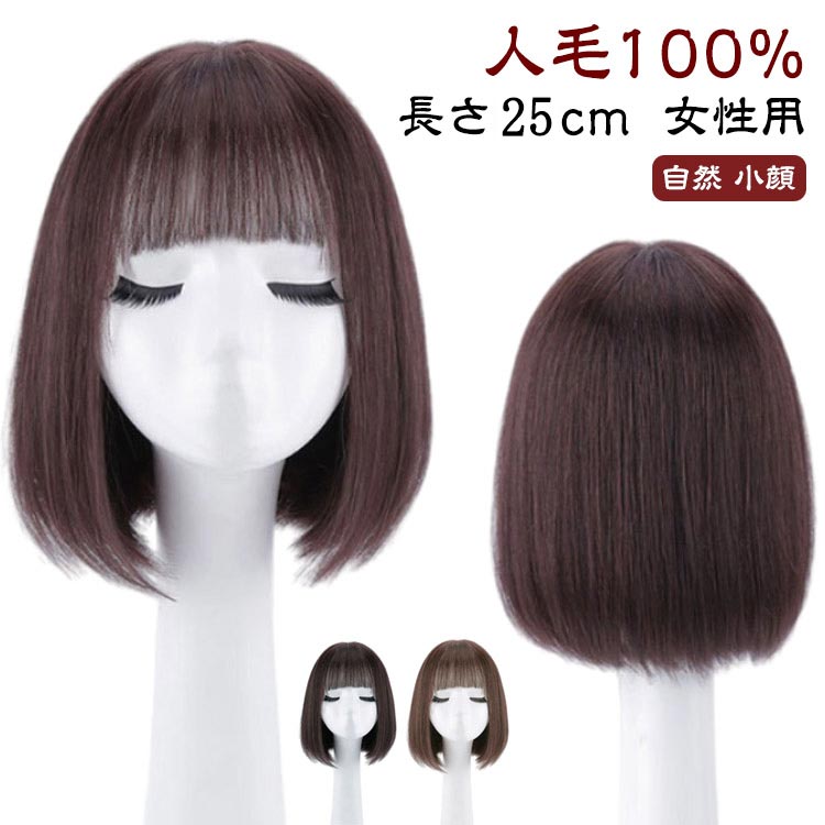 楽天市場】 自然 フルウィッグ かつら 人毛100% 長さ25cm ウィッグ