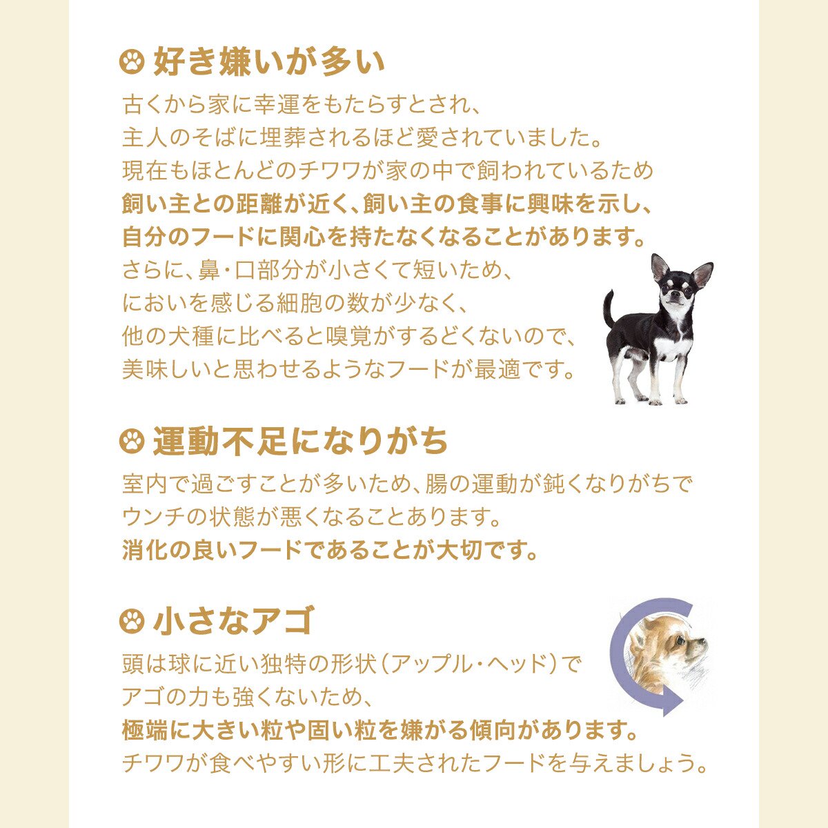 ROYAL CANIN チワワ 12kg ドライフード ロイヤルカナン CANIN チワワ