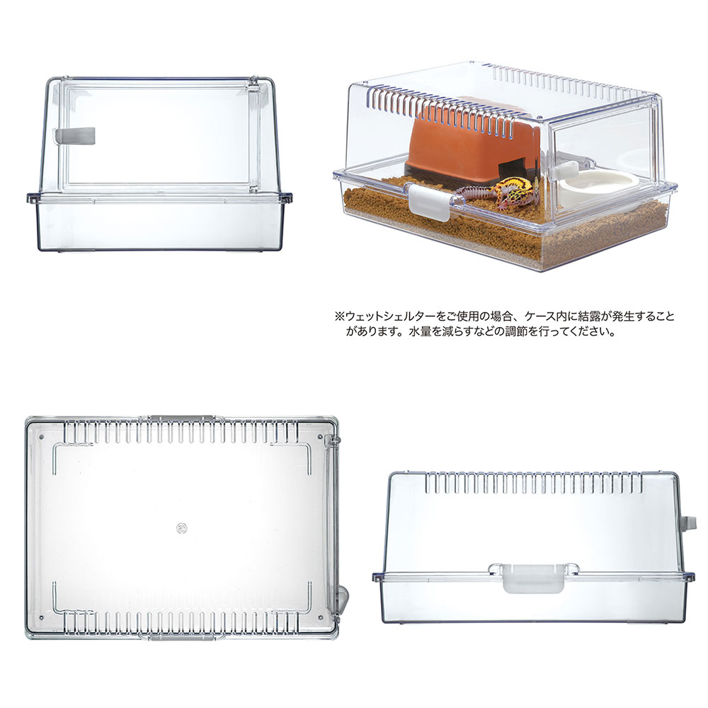 楽天市場】【3／5限定】当選確率2分の1！1等最大100％ 爬虫類