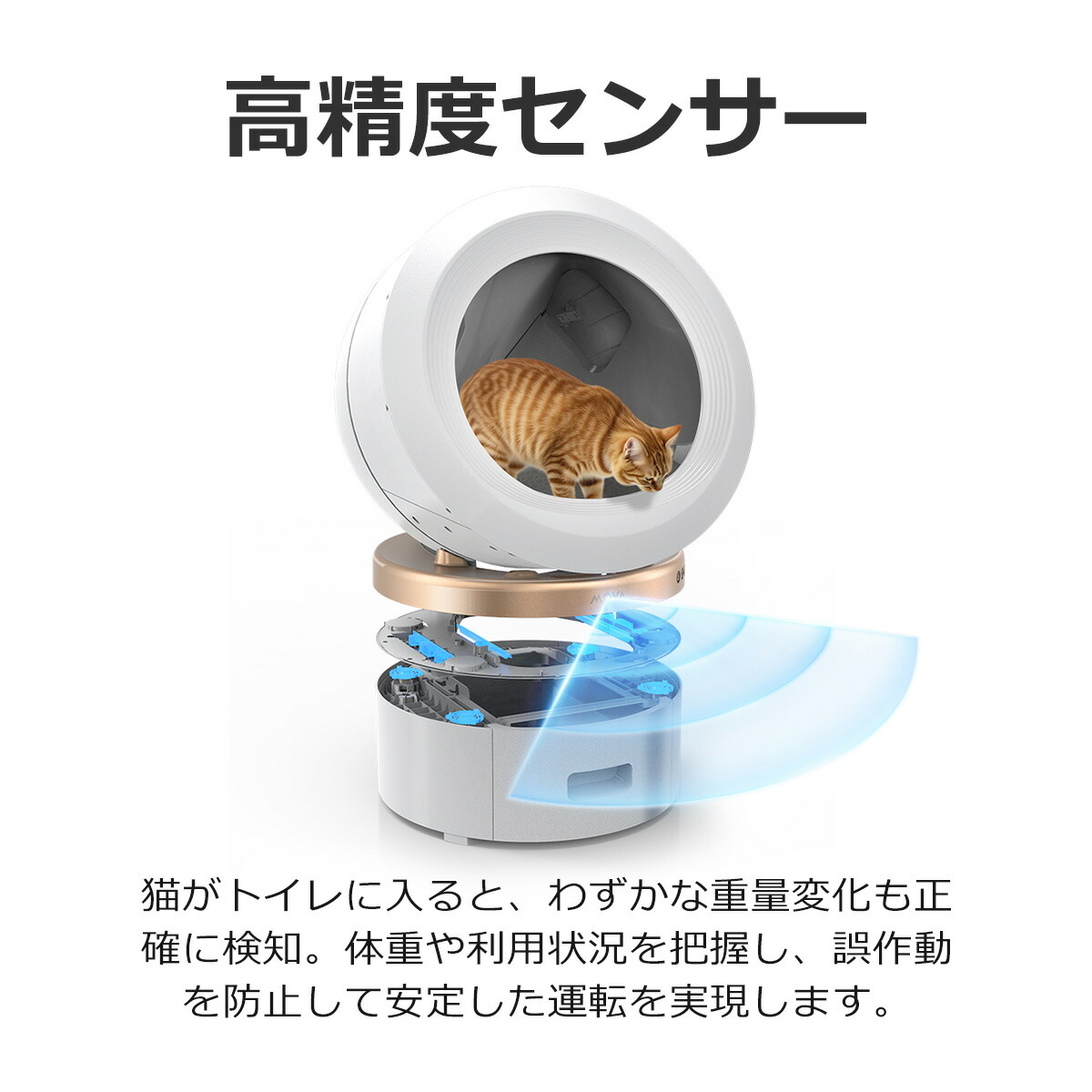 楽天市場】＼10%オフ／ MOVA 自動猫用トイレ LR10【当日出荷 OK】 猫