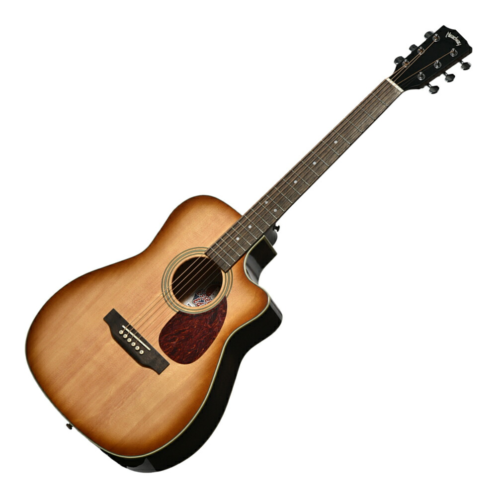 ヘッドウェイ アコースティック ギター」の人気商品一覧 | 安い商品を