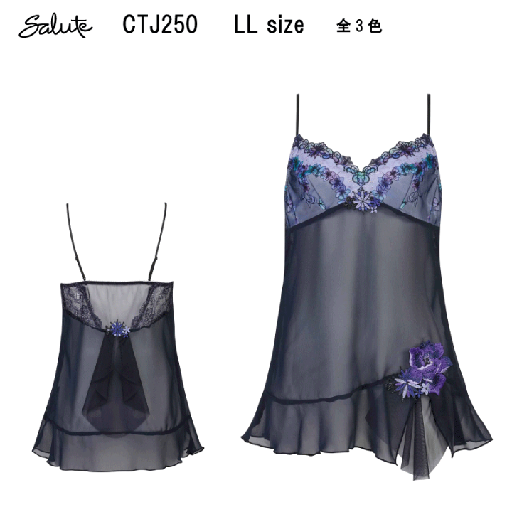 楽天市場】期間限定24％OFF【送料無料】ワコール サルート＜50グループ