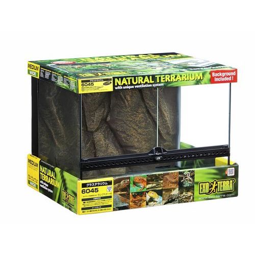 グラステラリウム6045」の人気商品一覧 | 安い商品を通販サイトから