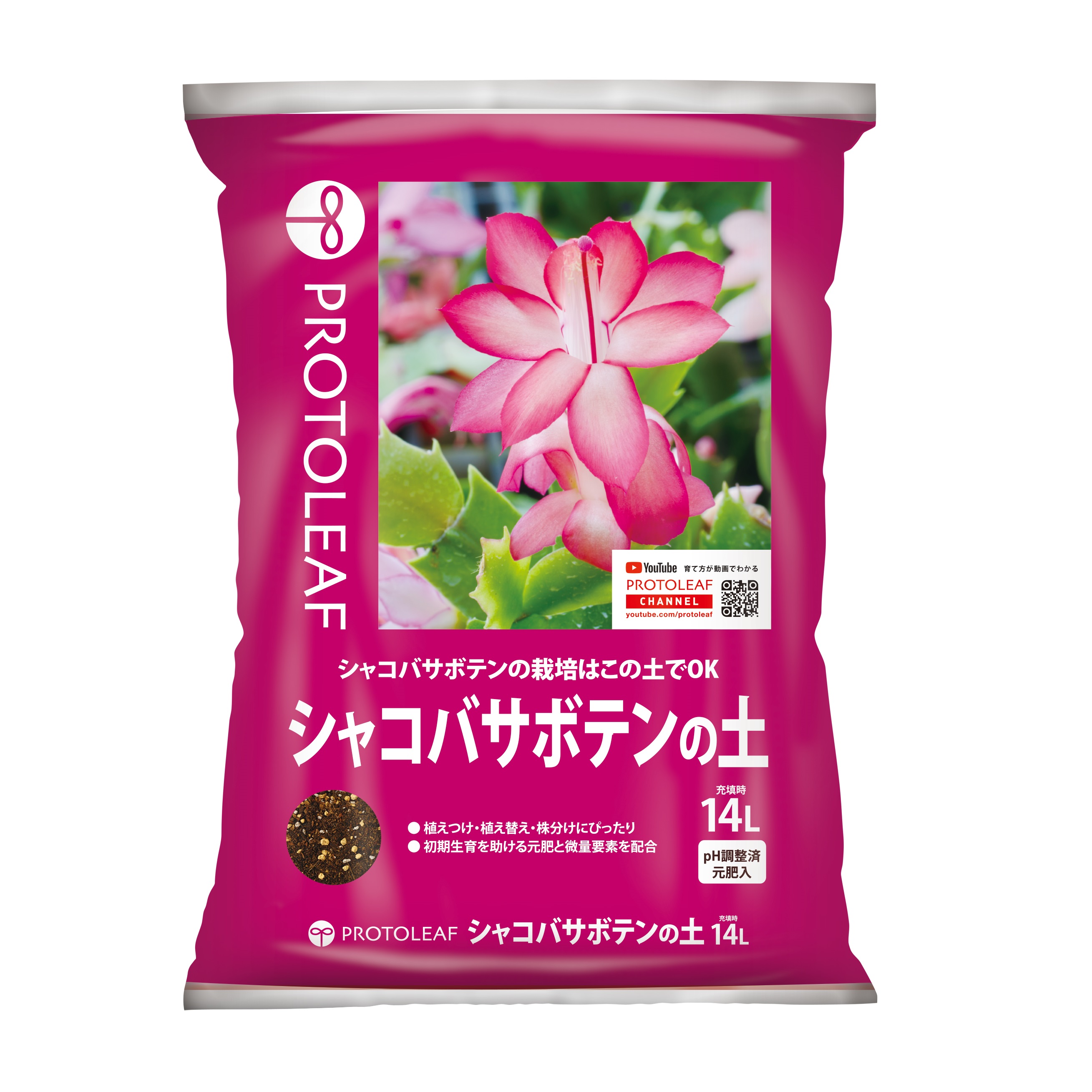 楽天市場】シャコバサボテンの土 14L プロトリーフ : DCMオンライン