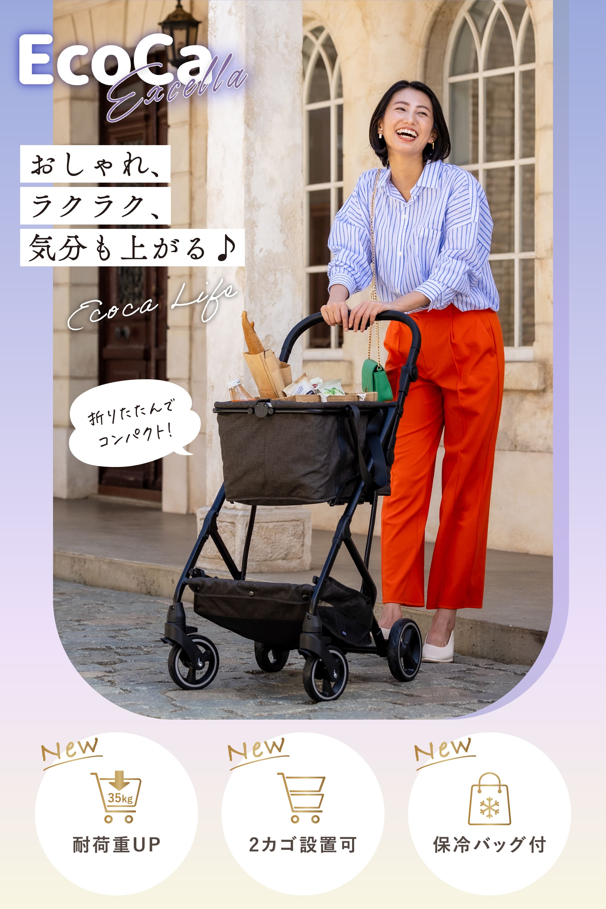 楽天市場】＼最大3380円OFF！3日20：00～／【エコカ 最新モデル】高さ