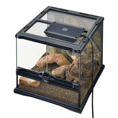 楽天市場】『GEX エキゾテラ ヒーティングトップ S』と『GEX