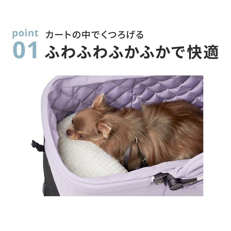 楽天市場】【公式】エアバギー リバーシブルクッション ペットカート