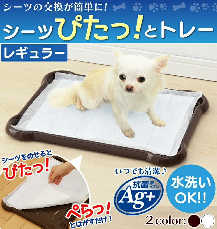 楽天市場】トイレトレー レギュラー 犬 しつけ 犬 トイレ トイレトレー