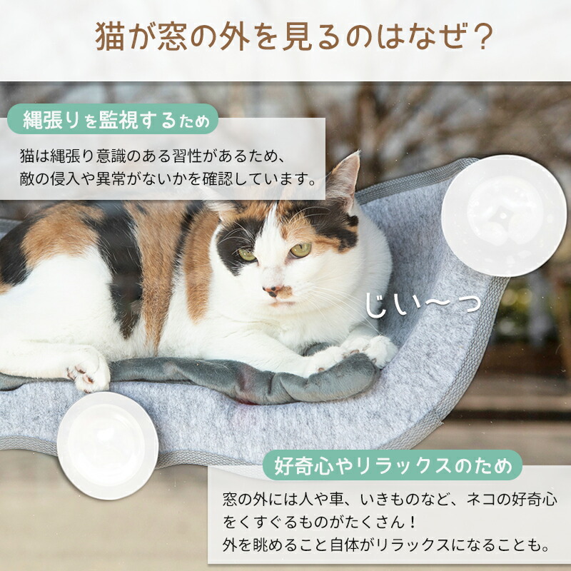 楽天市場】【定価より51%OFF・スーパーセール限定】猫 窓用 ベッド