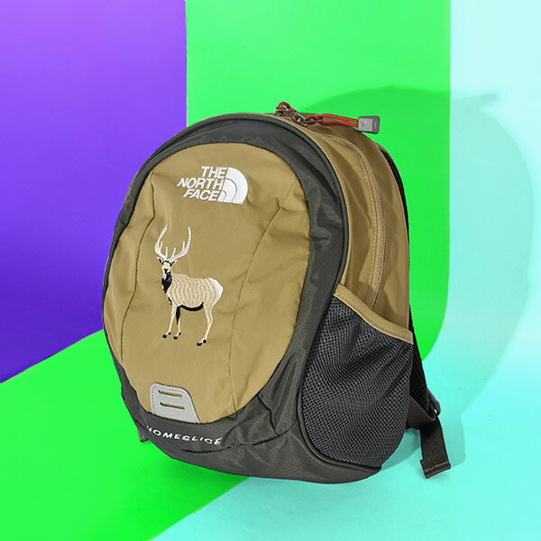 楽天市場】【動画あり】2026春夏新色 送料無料 ノースフェイス