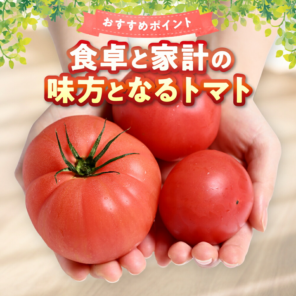 楽天市場】【ふるさと納税】訳あり おっぺしゃんトマト 4kg トマト