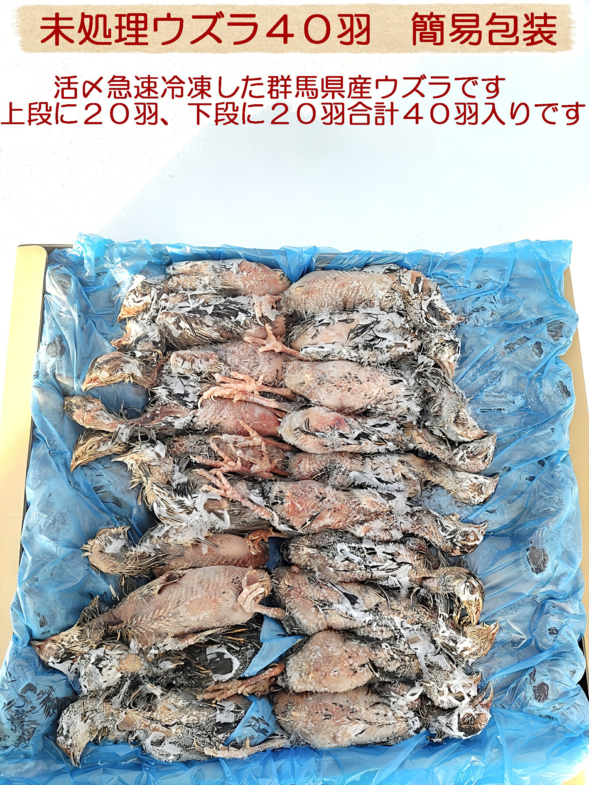 楽天市場】冷凍未処理ウズラ 簡易包装 ウズラ40羽 フクロウ 鷹