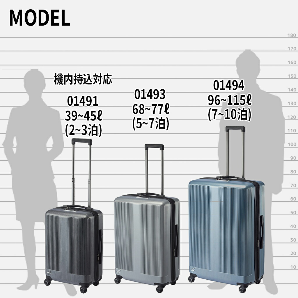 楽天市場】【最大42倍 11日2時迄】【ノベルティ特典】 エース プロテカ