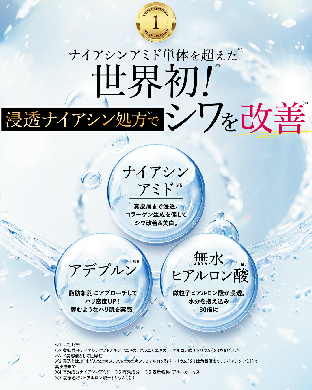 楽天市場】【本日限定】エントリーで最大P24倍☆ 【公式】 ハンド