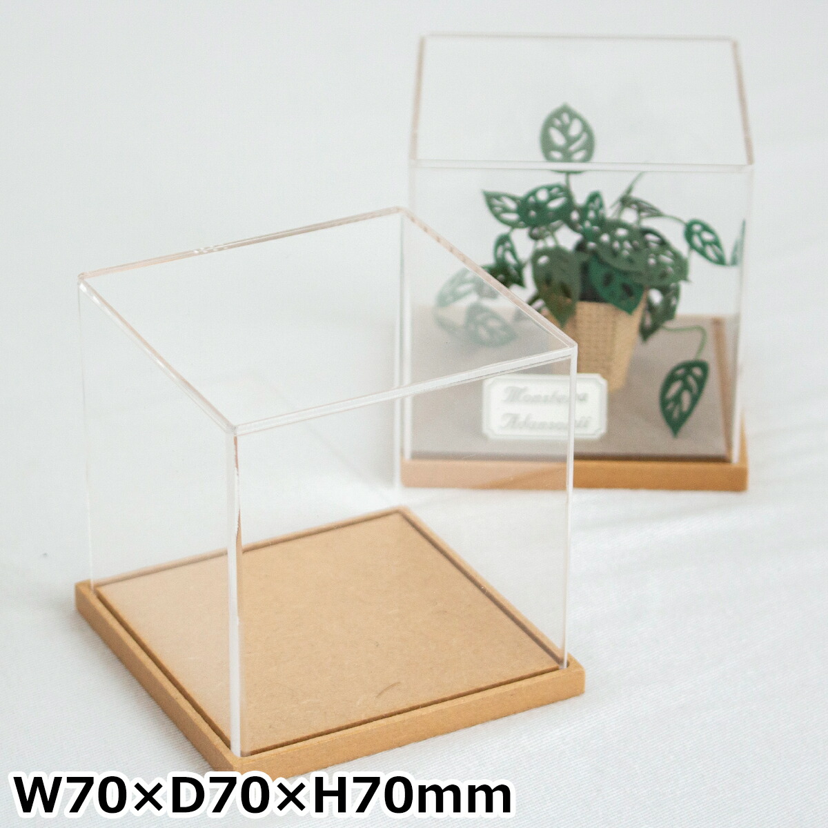 楽天市場】【クーポン対象 3/11 10:59まで】 アクリルケース W70×D70