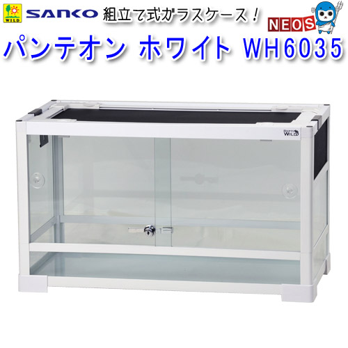 楽天市場】パンテオン ホワイト 6035の通販