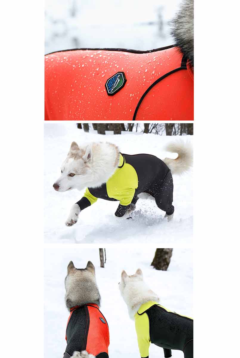 楽天市場】ALPHAICON アルファアイコン ドッグウェア Mサイズ＜ダブル