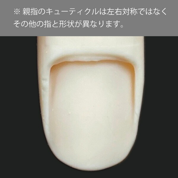 楽天市場】JNEC認定 STモデルハンドセット 両手 チップ差込式(ネイル