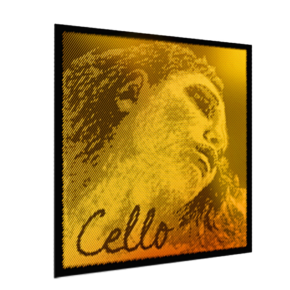 楽天市場】PIRASTRO エヴァピラッツィゴールド チェロ弦 D線 4/4 STEEL