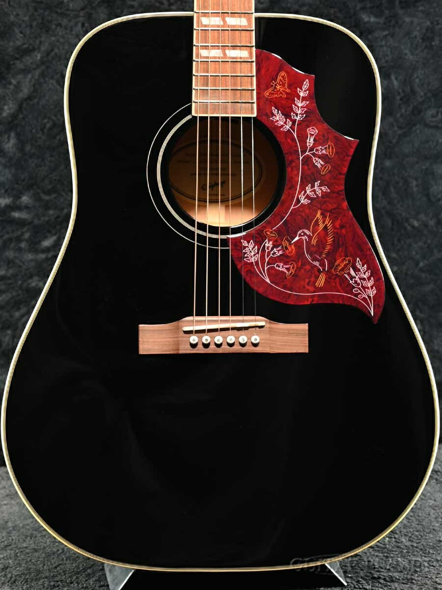 楽天市場】Epiphone Hummingbird Studio -Ebony Black 新品[エピフォン