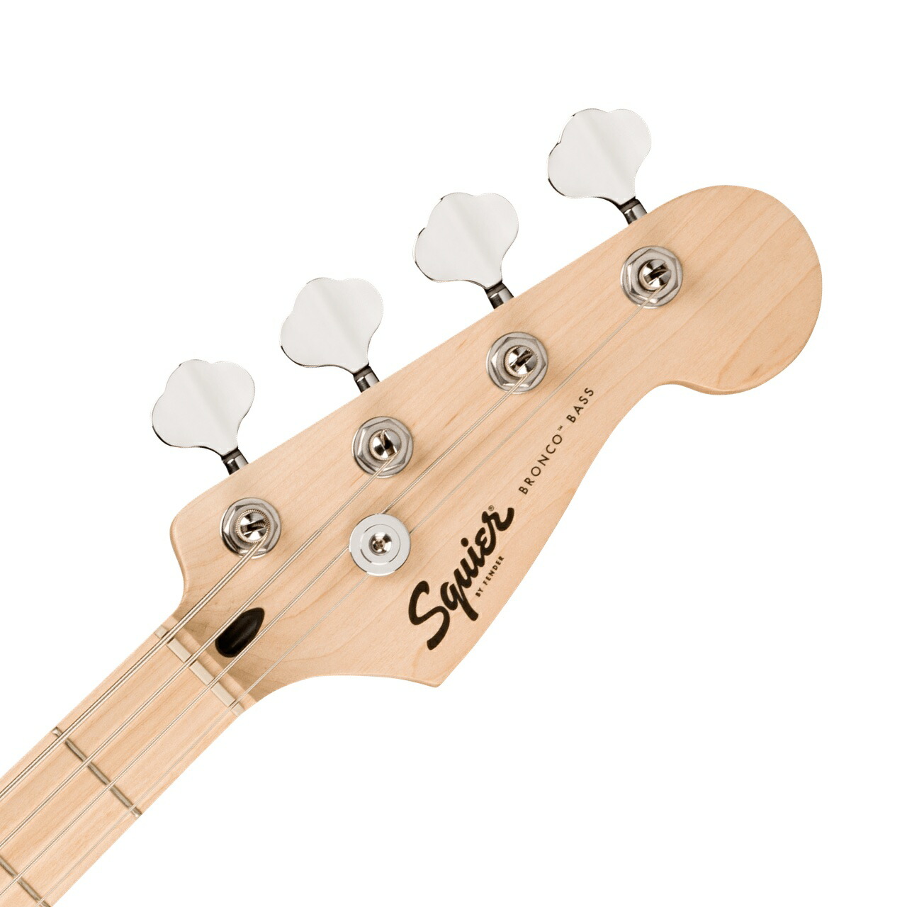 楽天市場】SQUIER スクワイヤー Squier Sonic Bronco Bass Arctic