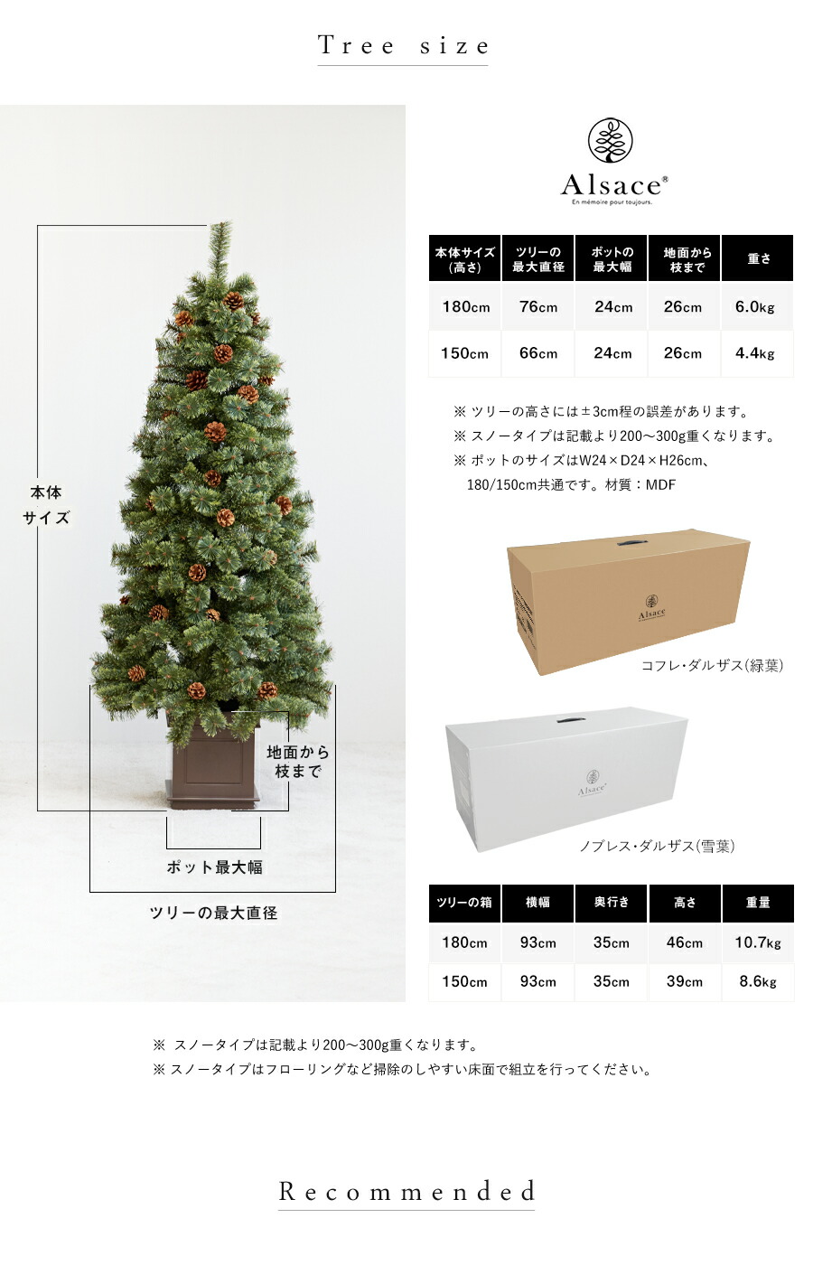 楽天市場】【公式 Alsace(R) 正規品】ポットツリー Coffret(コフレ